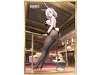 Azur Lane: San Jacinto Flavor of the Day Ver.