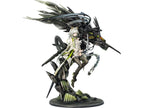 Arknights: Kal'tsit Esperanta