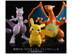 POLYGO Pokemon Charizard